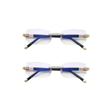 2x VisioFlex