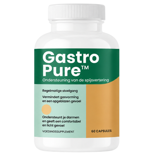 1x GastroPure